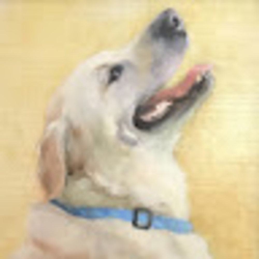 Meet your Posher, Jeremy